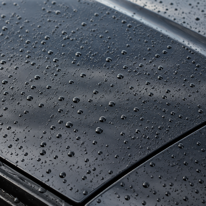 Water beads on a clean exterior paint panel